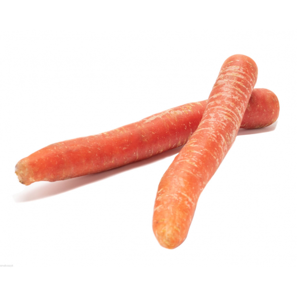 Marchew czerwona, zawiera beta-karoten, słodka, smaczna, do surówek