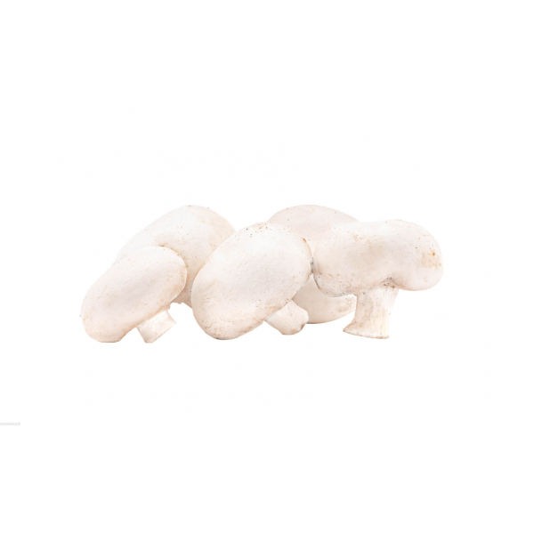 Pieczarka biała, popularna, na sosy, zupy, do pizzy, zakupy internetowe.