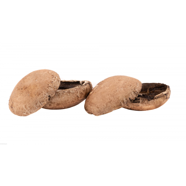 Pieczarka portobello, zawiera błonnik, doskonała na grilla, w sklepie online