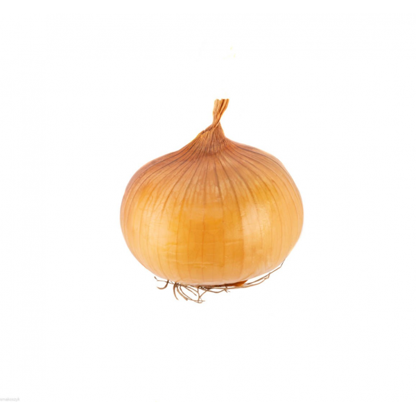 Cebula, bogata w witaminy i minerały, smaczna, aromatyczna, działa antybakteryjnie