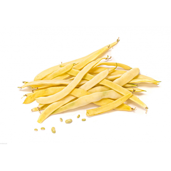 Fasolka szparagowa mamut, zdrowa, wspaniały dodatek do obiadu lub zupy