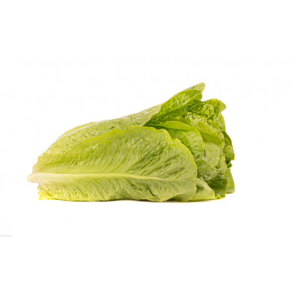 Sałata rzymska, zdrowa, wytrzymała, do smażenia i na grilla