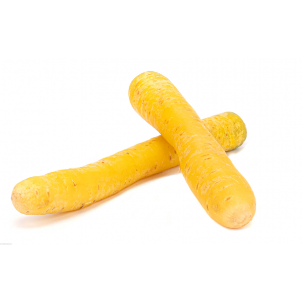 Marchew żółta, zdrowa, zawiera beta-karoten, obniża cholesterol