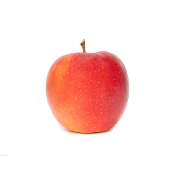 Jabłko Gala, odmiana zimowa, zdrowy owoc, kremowy, słodki miąższ