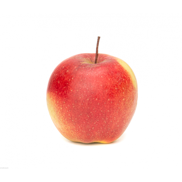 Jabłko Ligol, polska odmiana, słodka, chrupka, duży owoc, dmaczny, aromatyczny