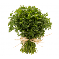 Pietruszka nać, wspaniały dodatek do pesto, mięs, ryb, zup, zwłaszcza tradycyjnego rosołu