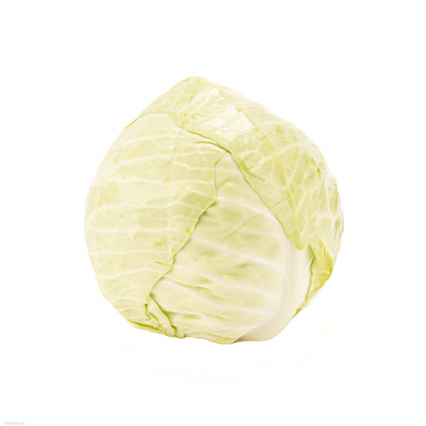 Kapusta biała, głowiasta, doskonała na gołąbki, bogata w witaminę C