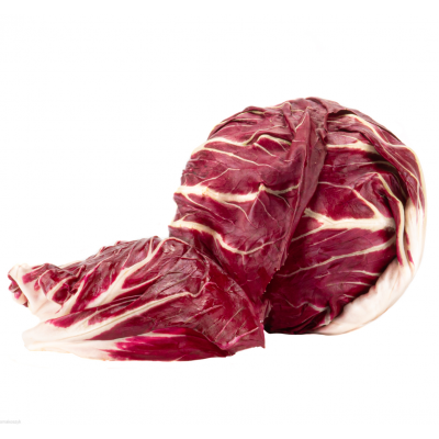 Radicchio, zdrowa, popularna we Włoszech sałata, idealna do przekąsek