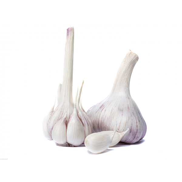 Czosnek, zdrowy, doskonały na przeziębienie, przyprawa uniwersalna
