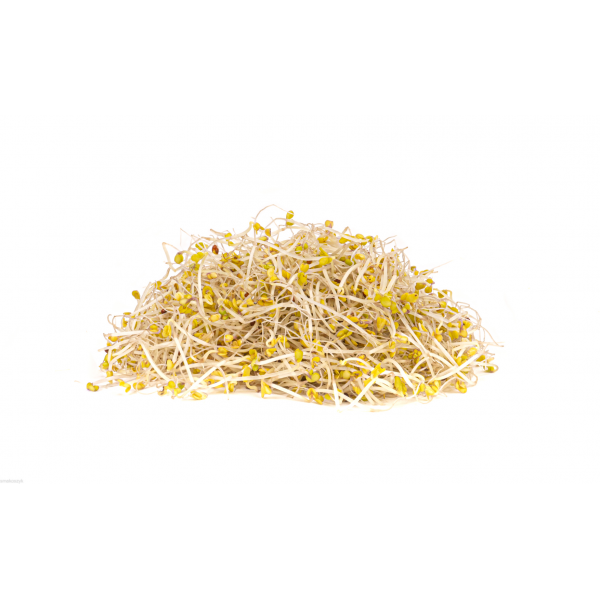 Kiełki brokułu, zdrowe, smaczne, do kanapek i surówek, wykazują działanie przeciwnowotworowe