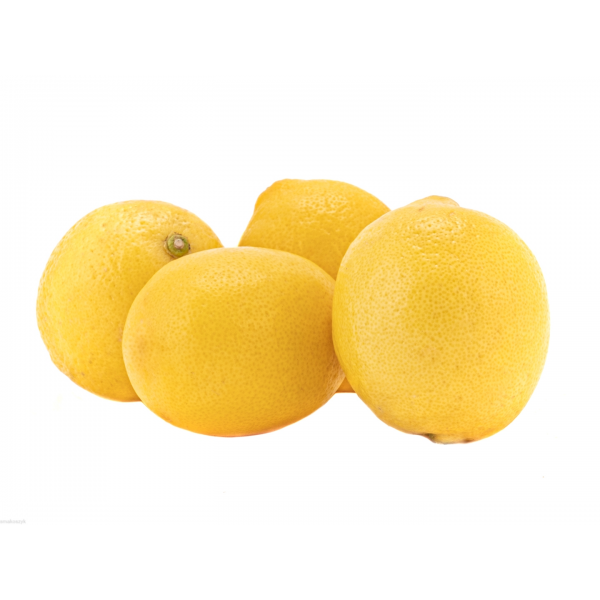 Cytryna, zdrowa soczysta z witaminą C, doskonała do lemoniady