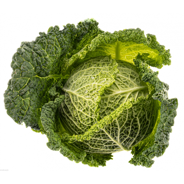Kapusta włoska, zdrowa, składnik włoszczyzny do zupy w smakoszyku