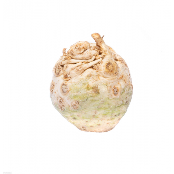 Seler korzeń, zdrowe warzywo, bogate w potas i witaminy, poprawia przemianę materii