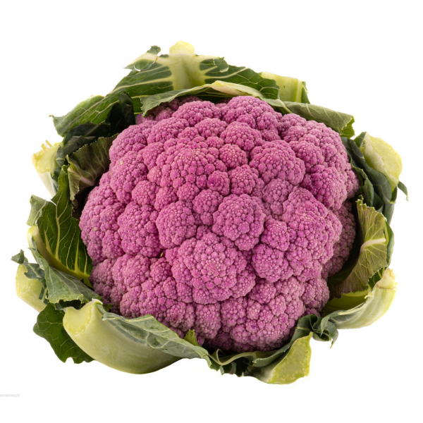 Kalafior fioletowy, na surowo, do gotowania, zapiekania, w sklepie online
