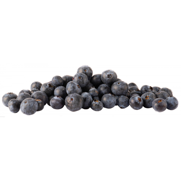 Borówka, zdrowa, bogata w witaminy, doskonała do pierogów, farszów, sałatek owocowych