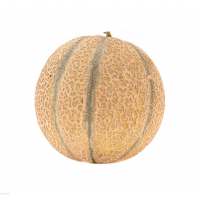 Melon Cantaloupe, zdrowy, smaczny, bogaty  w witaminę C,B,K, magnez i błonnik