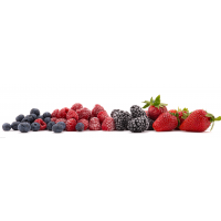 Borówka, owoce jagodowe, na koktajle, smoothie, zawiera witaminy