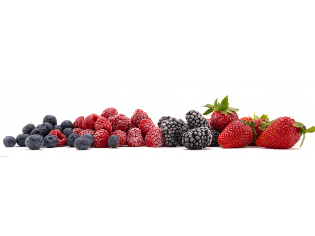 Borówka, owoce jagodowe, na koktajle, smoothie, zawiera witaminy