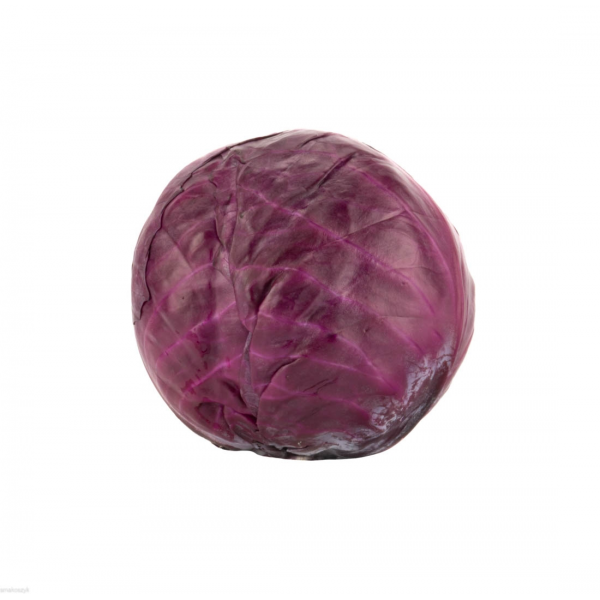 Kapusta czerwona, modra,  zdrowa, na surówki w sklepie online