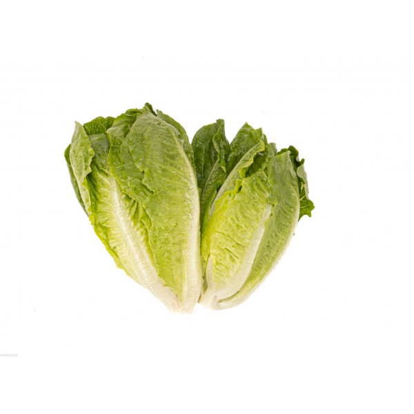 Sałata mini rzymska, główny składnik sałatki Cezar, smaczna, chrupka, online